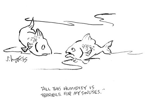 'All this humidity is terrible for my sinuses.'