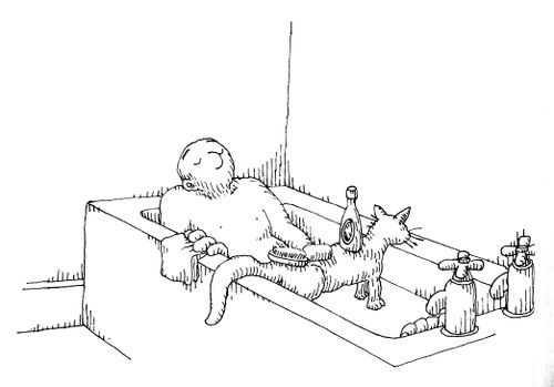 101 uses of a dead cat: bath shelf