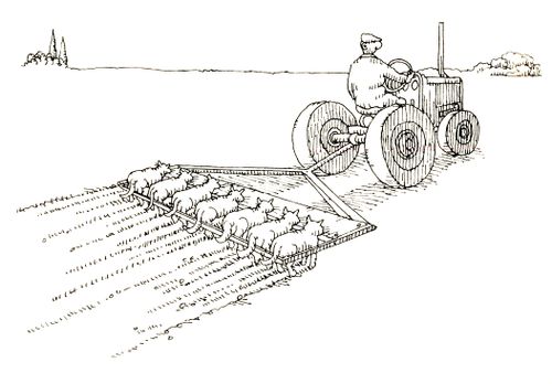101 uses of a dead cat: plough