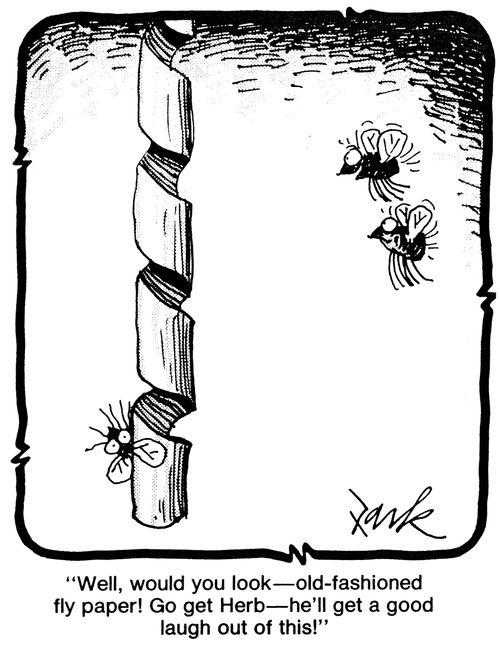 'Well, would you look - old-fashioned fly paper! Go get herb - he'll get a good laugh out of this!'