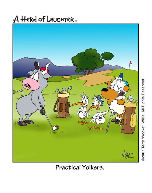 Practical Yolkers.