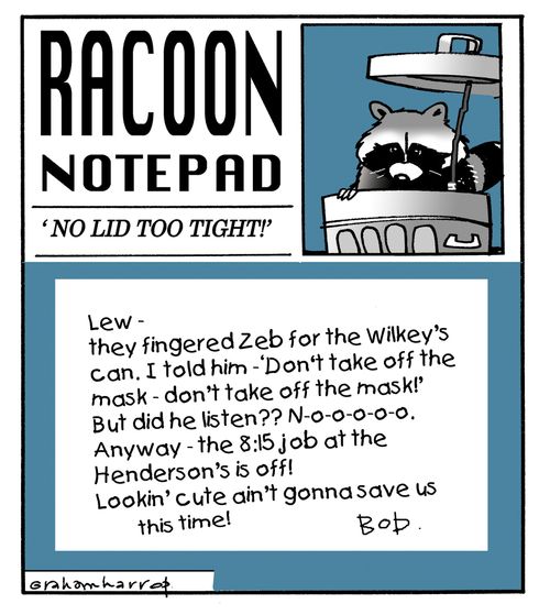 Raccoon notepad