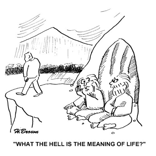 'What the hell is the meaning of life?'