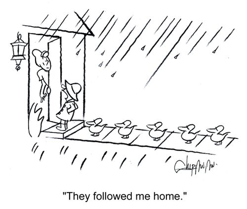 'They followed me home.'