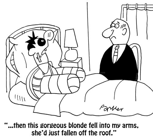 '...then this gorgeous blonde fell into my arms, she's just fallen off the roof.'