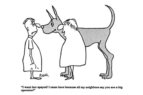 'I want her spayed!'