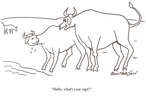 "Hello, what's your sign?"