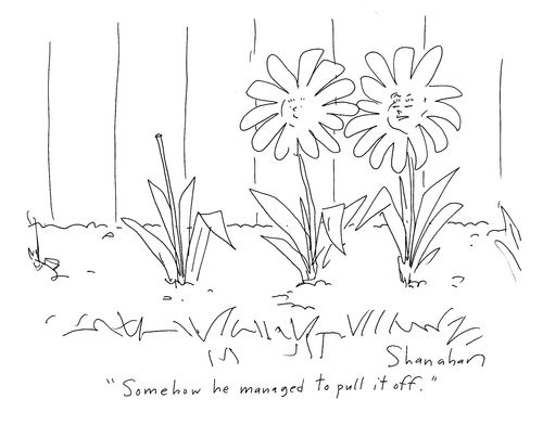 'Somehow he managed to pull it off.'