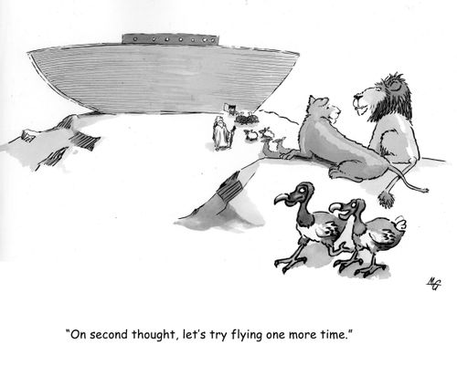 'On second thought, let's try flying one more time.'
