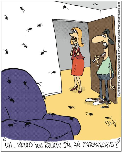 'Uh... Would you believe I'm an entomologist?'