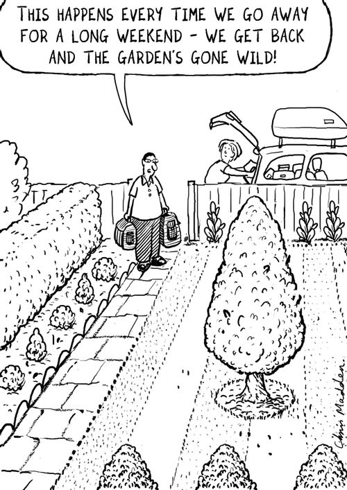 '...We go away for a long weekend - we get back and the garden's gone wild.'