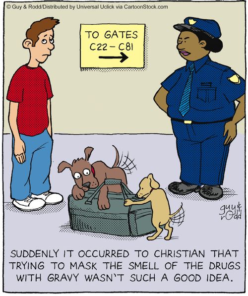 Suddenly it occurred to Christian that trying to mask the smell of the drugs with gravy wasn't such a good idea.
