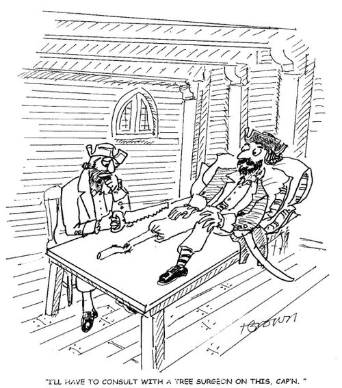 'I'll have to consult with a tree surgeon on this, Cap'n.'