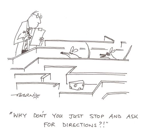 'Why don't you stop and ask for directions?!'