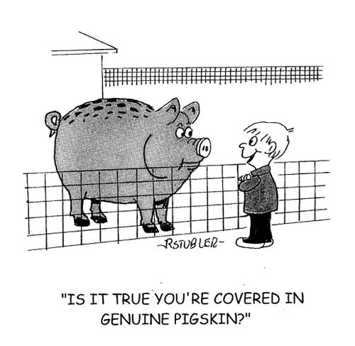 'Is it true you're covered in genuine pigskin?'