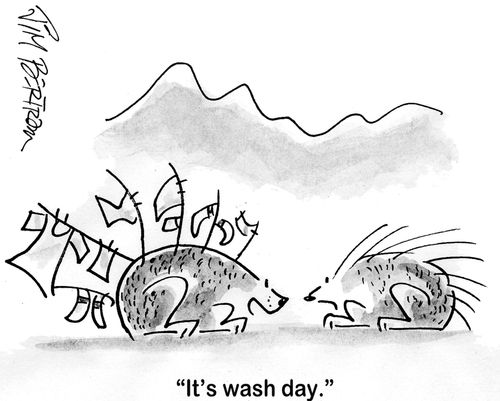 'It's wash day.'
