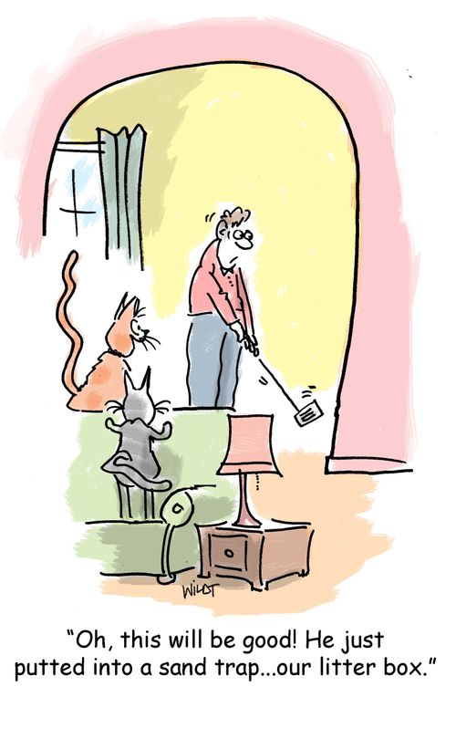 'Oh, this will be good! He just putted into a sand trap...our litter box.'