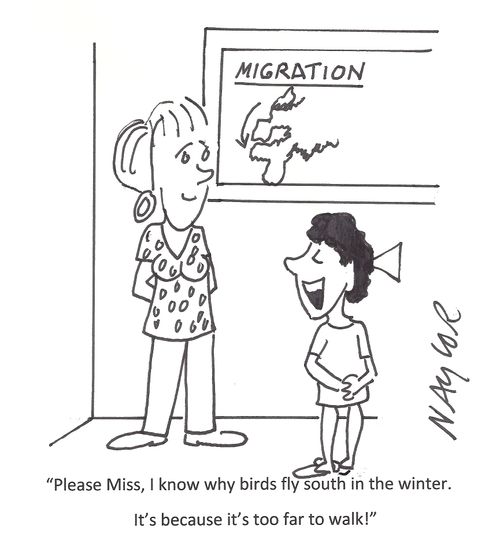 'Please Miss, I know why birds fly south in the winter. It's because it's too far to walk!'