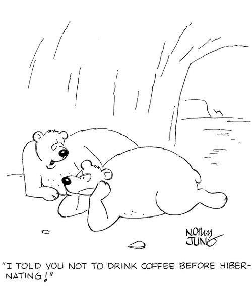 'I told you not to drink coffee before hibernating!'