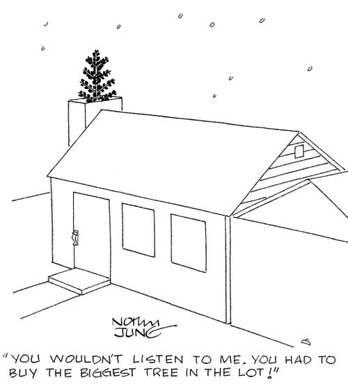 'You wouldn't listen to me. You have to buy the biggest tree in the lot!'