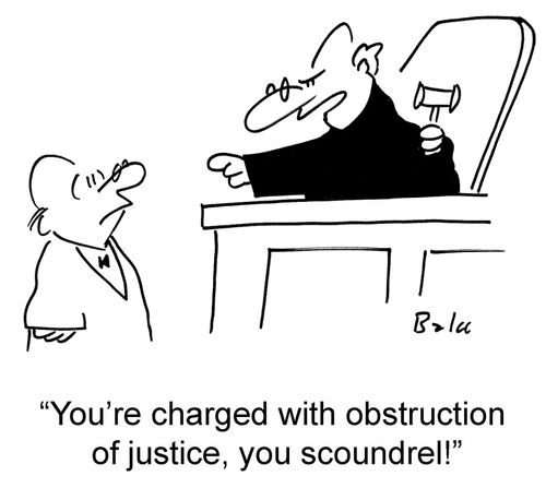 'You're charged with obstruction of justice, you scoundrel!'