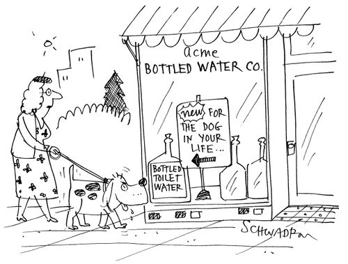 Bottled Water Co.