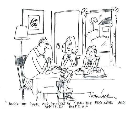 'Bless this food, and protect us from the pesticides and additives therein.'