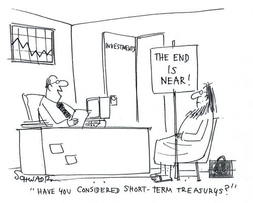 'Have you considered short-term treasury's?'