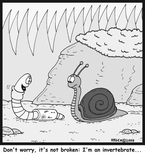 Don't worry, it's not broken: I'm an invertebrate...