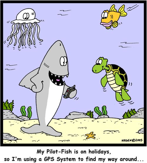 'My Pilot-Fish is on holidays, so I'm using a GPS System to find my way around...'