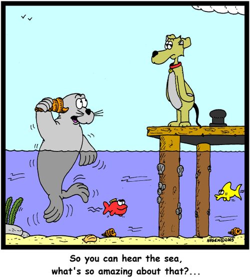 'So you can hear the sea, what's so amazing about that?...'