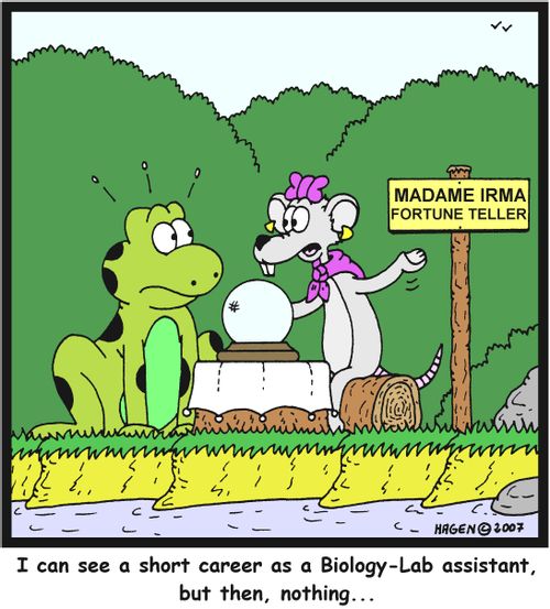 'I can see a short career as a Biology-Lab assistant, but then, nothing...'