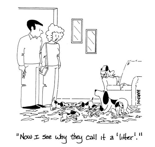 'Now I see why they call it a 'litter'.'