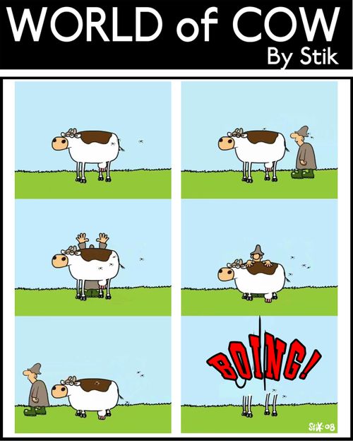 Farmer pushes the cow down so he boings back up again.