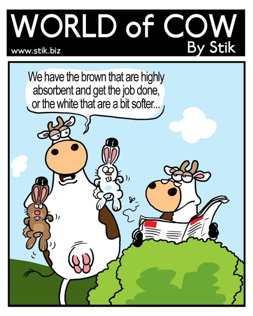 We have the brown that are highly absorbent and get the job done, or the white that are a bit softer...