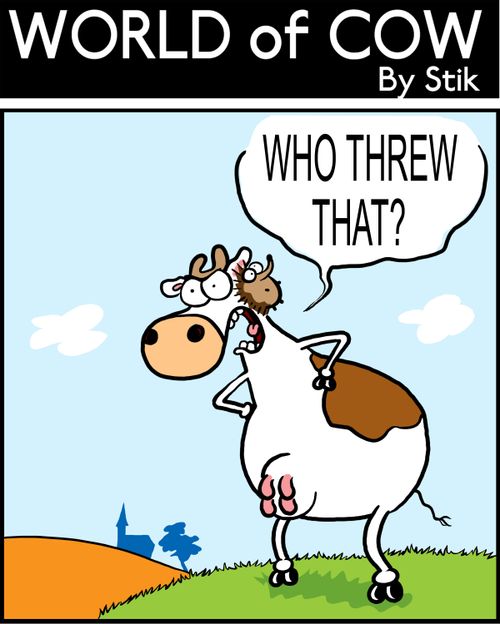 WHO THREW THAT?