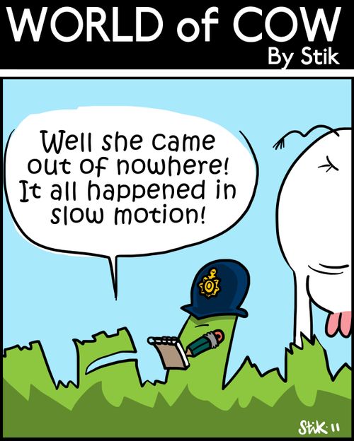 'Well she came out of nowhere! It all happened in slow motion!'