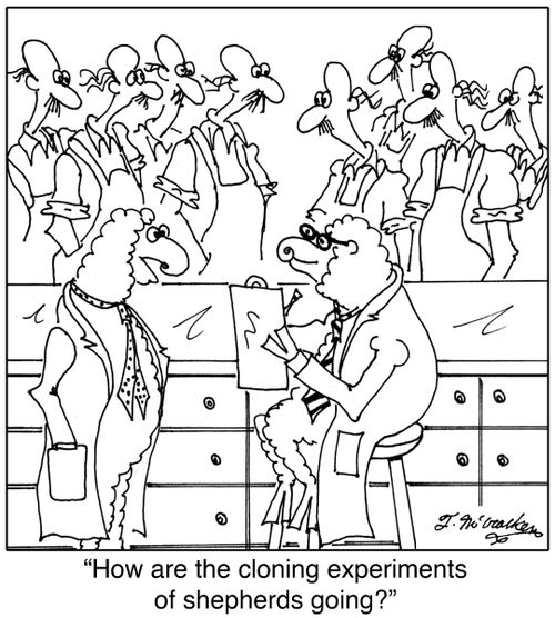 'How are the cloning experiments of shepherds going?'