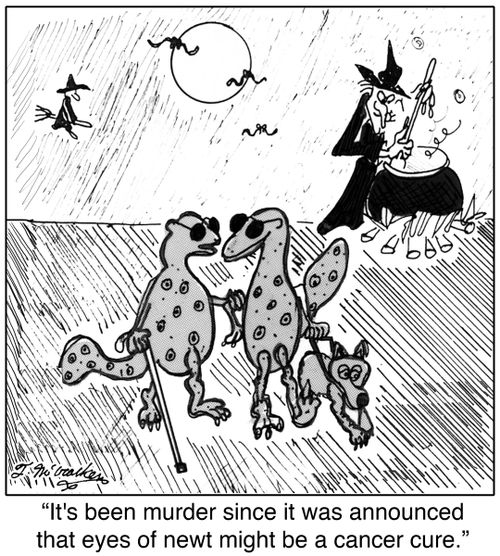 'It's been murder since it was announced that eyes of newt might be a cancer cure.'