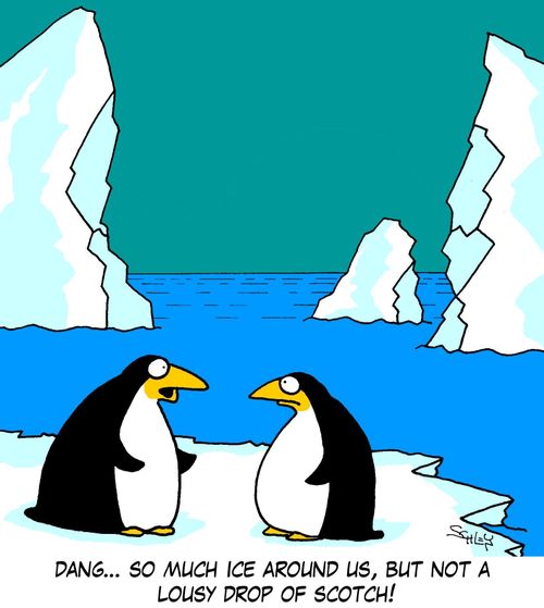 'Dang... so much ice around us, but not a lousy drop of Scotch!'