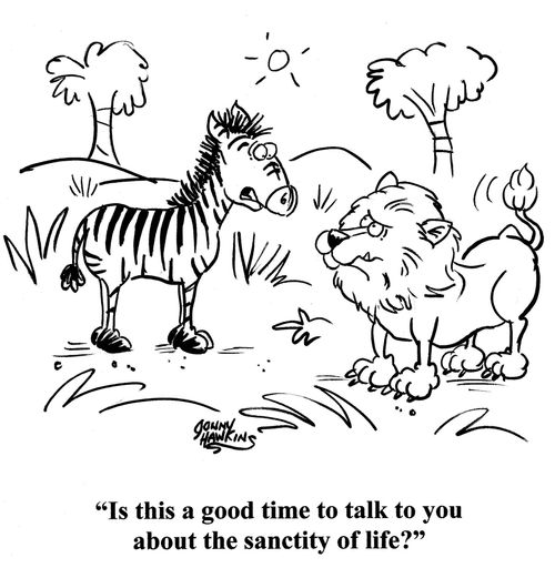 Zebra to lion: 'Is this a good time to talk to you about the sanctity of life?'