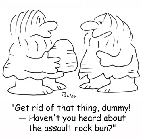 'Get rid of that thing, dummy! -- Haven't you heard about the assault rock ban?'