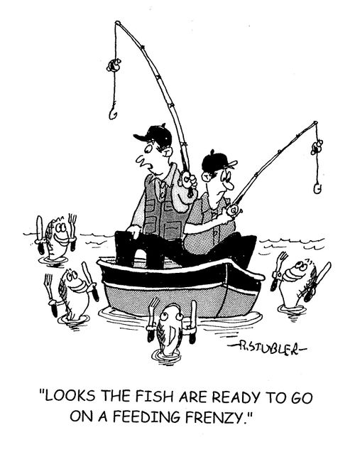 'Looks like the fish are ready to go on a feeding frenzy.'