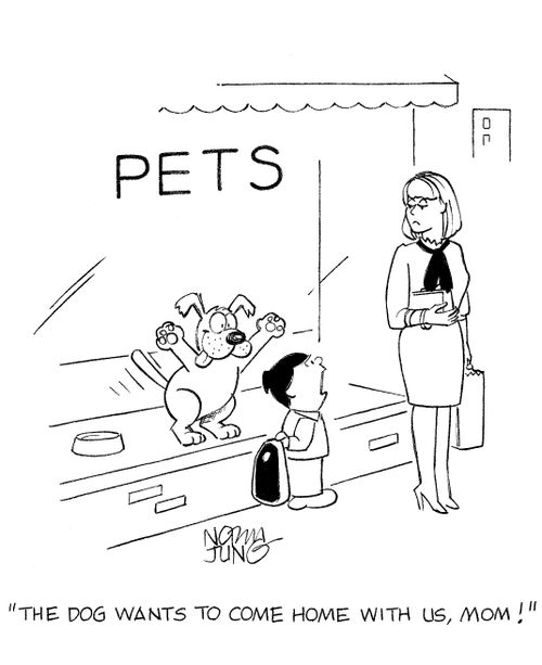 'The dog wants to come home with us, mom!'