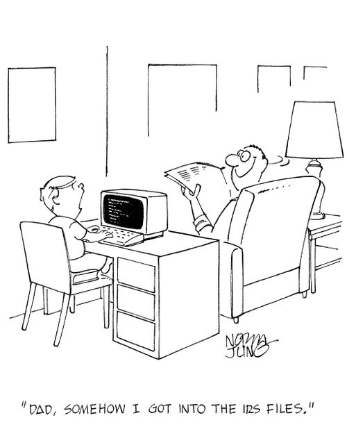 'Dad, somehow I got into the IRS files.'
