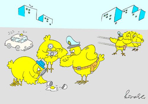 Chicken Crime Scene.