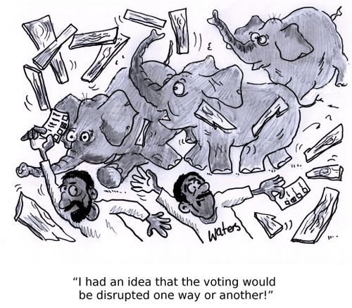 'I had an idea that the voting would be disrupted one way or another!'