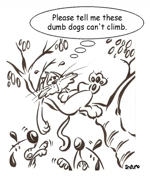 Please tell me these dumb dogs can't climb.