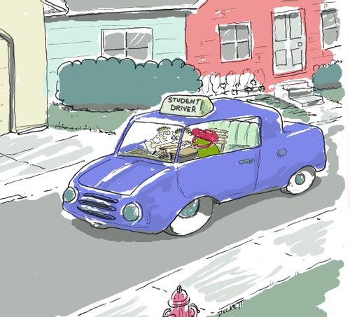 'Student Driver'