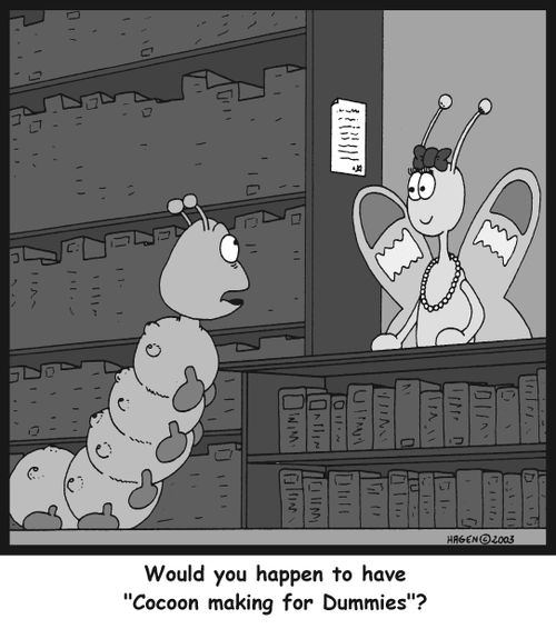 'Would you happen to have 'Cocoon making for dummies'?'